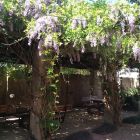 Accommodation in Makhado Louis Trichardt | Guesthouse with well-appointed en-suite Bedrooms and Meals, plus a Beautiful Wedding and Function Venue